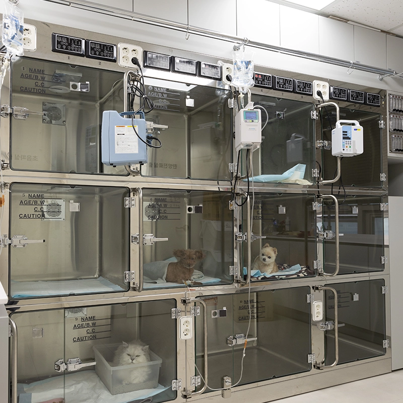 입원 및 회복실