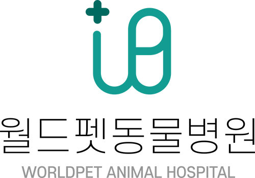 월드펫동물병원