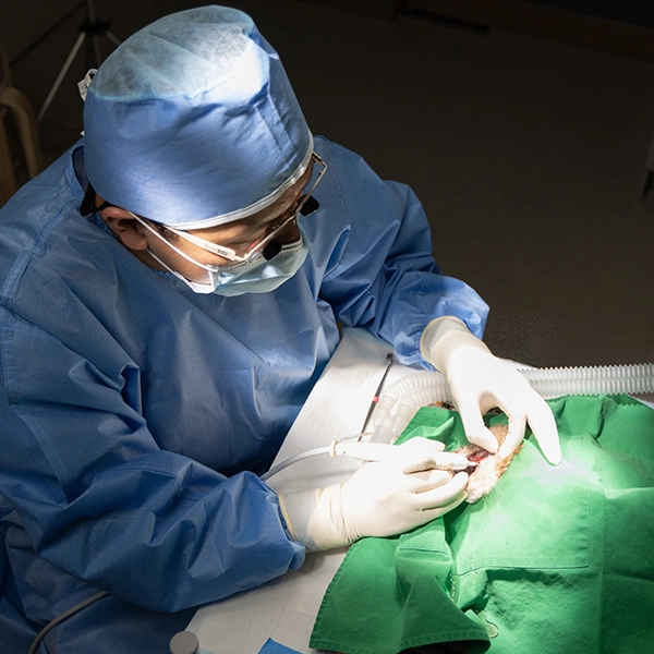 center-dental-responsibility