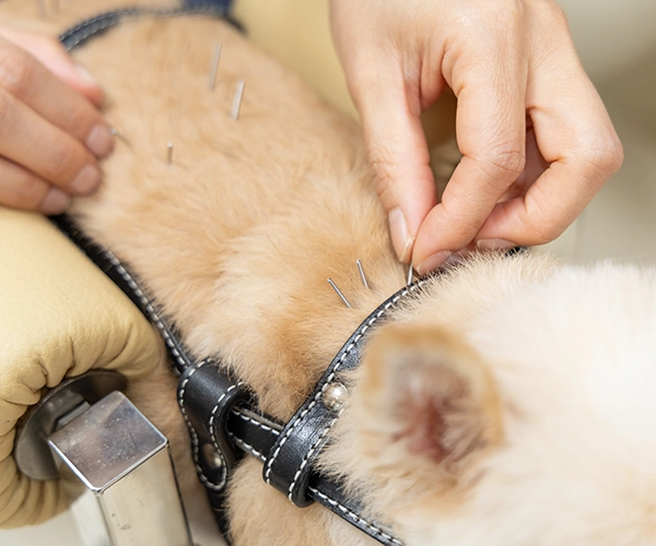 한방재활센터 소개 이미지