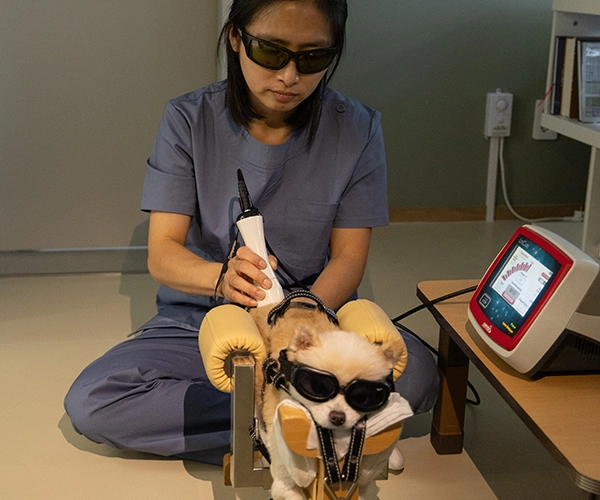 회복 케어 이미지