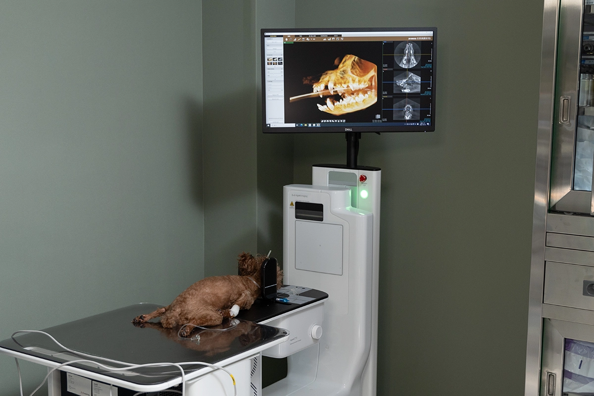 facilities-space-sample