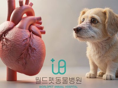 무심코 넘긴 잇몸병 노령견 심장이 덜컹